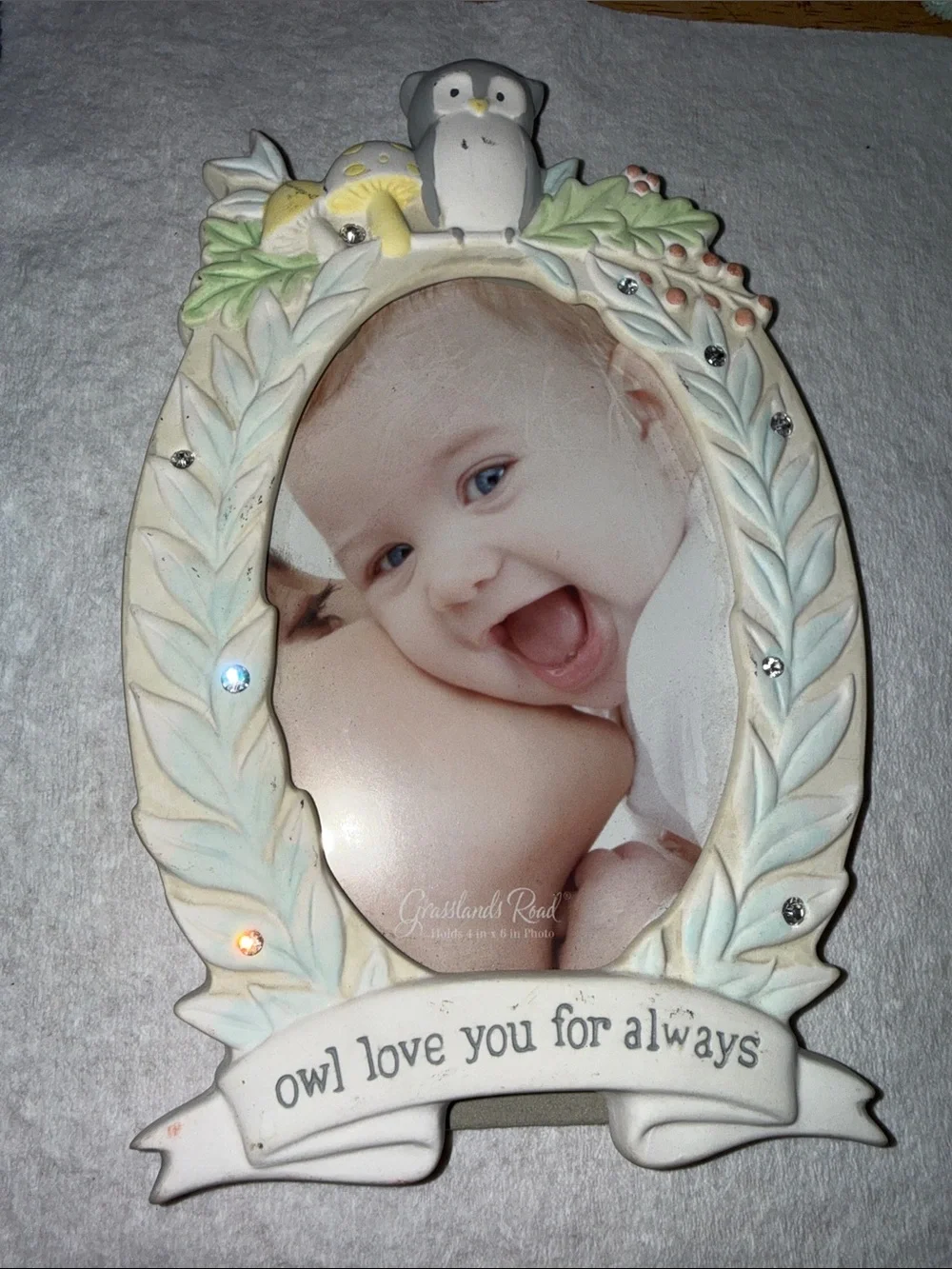 Grasslands Road Cream and Pastel Owl Photo Frame
